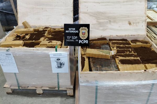 Imagem referente a notícia: Polícia Civil apreende grande quantidade de maconha em fiscalização em transportadora de Cascavel