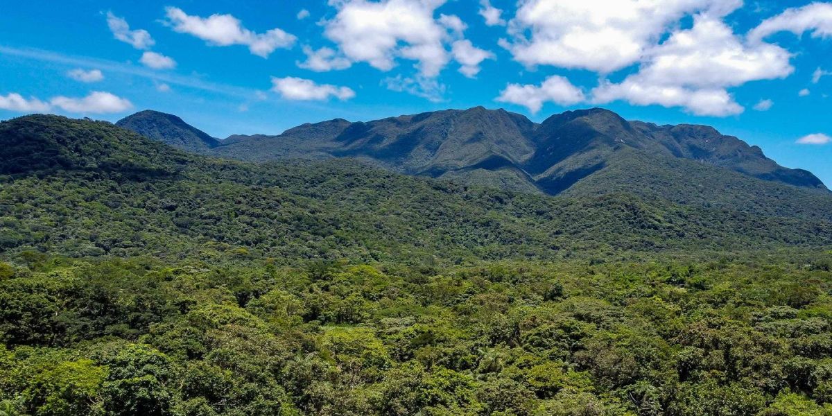 Estado atualiza procedimentos do ICMS Ecológico; 59% das cidades recebem o benefício