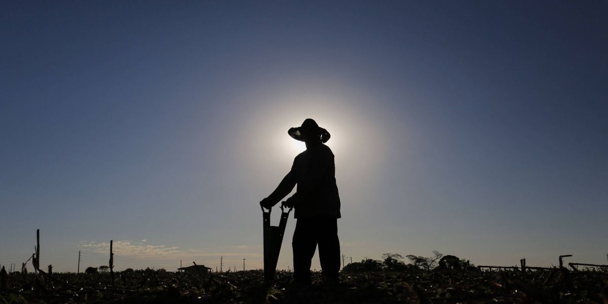 Adesão obrigatória da nota fiscal eletrônica do produtor rural é prorrogada para julho
