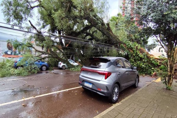 Imagem referente a notícia: Temporal causa estragos no Centro de Cascavel; 8 veículos foram atingidos e 5 mil imóveis estão luz