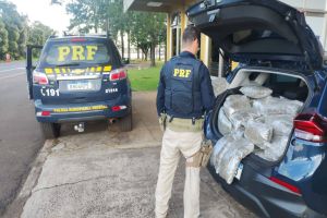Imagem referente à notícia: PRF apreende 100 kg de maconha "capulho" em veículo na BR-277  em Laranjeiras do Sul