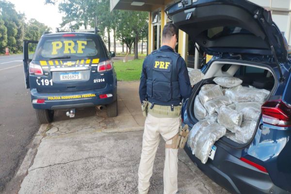Imagem referente a notícia: PRF apreende 100 kg de maconha "capulho" em veículo na BR-277  em Laranjeiras do Sul