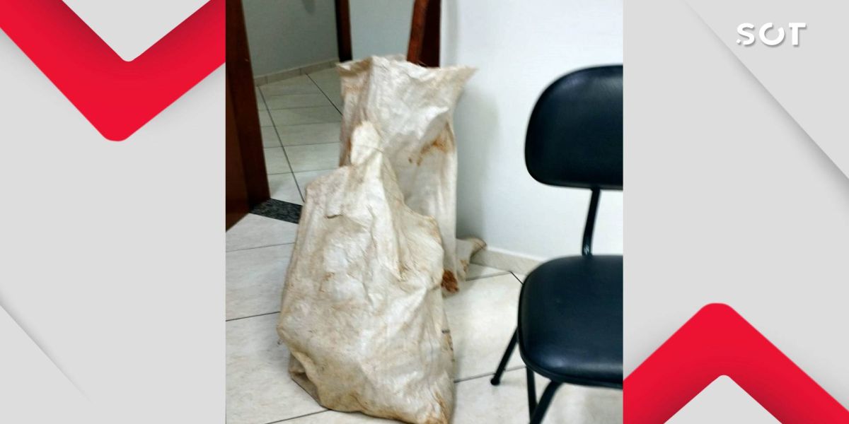 Escola Municipal Inglacir Lourdes Farina sofre nova tentativa de furto e fica sem energia elétrica