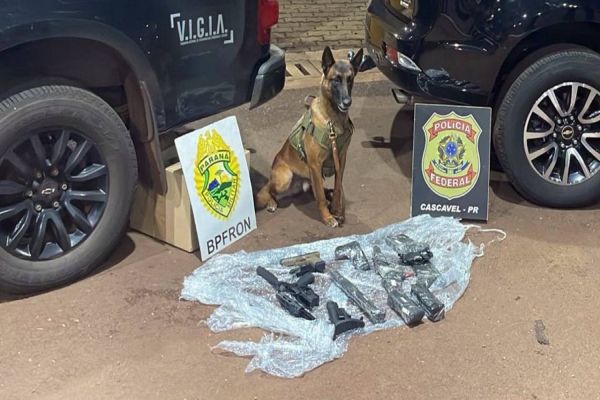 Forças de Segurança apreendem armamento em Cascavel com destino à Bahia