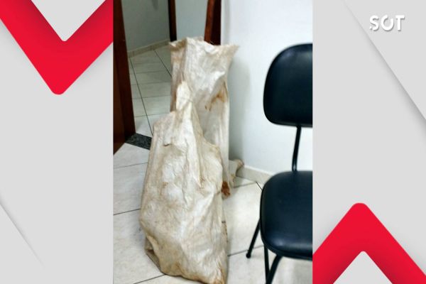 Escola Municipal Inglacir Lourdes Farina sofre nova tentativa de furto e fica sem energia elétrica