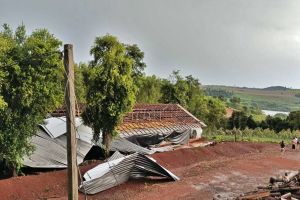 Imagem referente à notícia: Temporal causa danos em aviários em Capitão Leônidas Marques