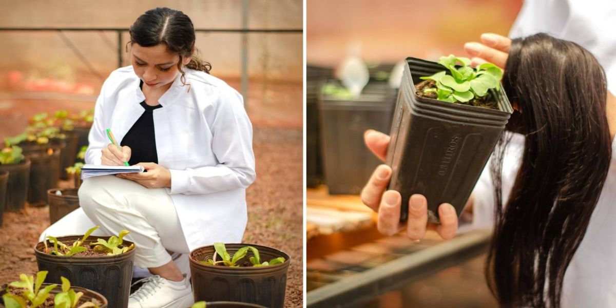 Pesquisa da Unioeste sobre cabelo humano em adubo é apresentado no maior evento agroindustrial