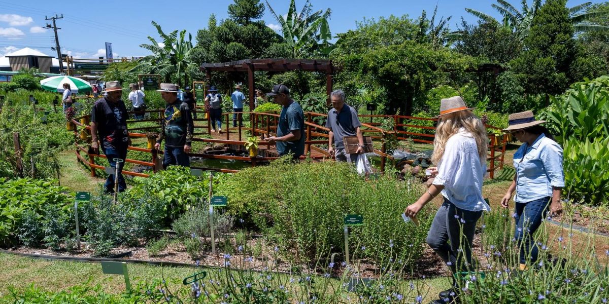 Itaipu leva projeto de criação de abelhas sem ferrão ao Show Rural Coopavel