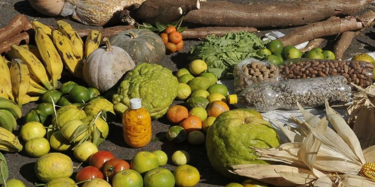 Decreto institui Desenrola Rural que ajudará 1,3 milhão de famílias