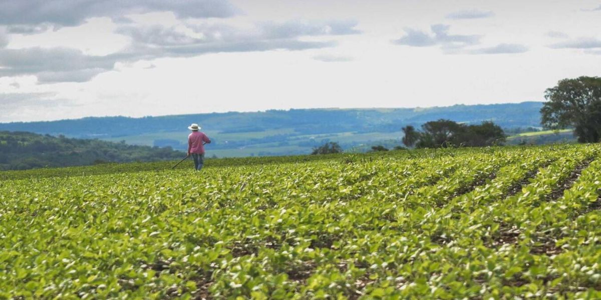 Prefeitura de Toledo entregará equipamentos para grupos de produtores rurais