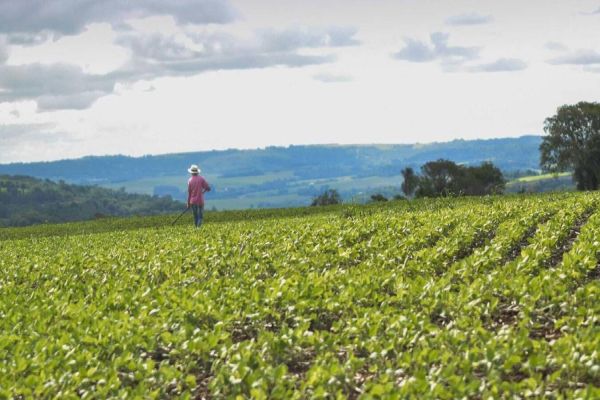 Prefeitura de Toledo entregará equipamentos para grupos de produtores rurais