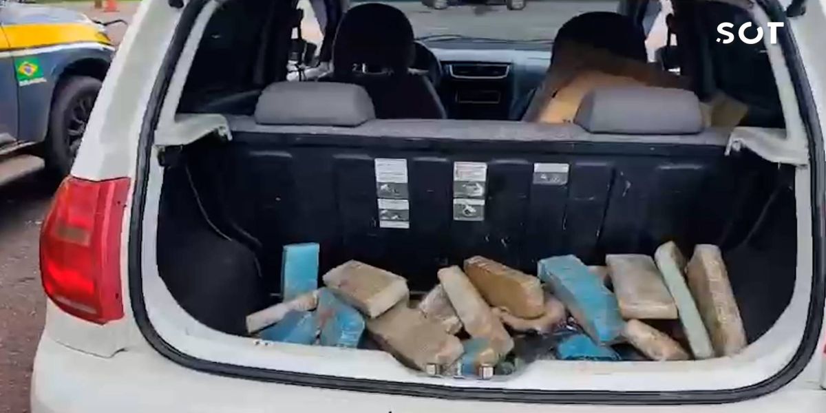 PRF apreende meia tonelada de drogas em menos de 3 horas na BR-369
