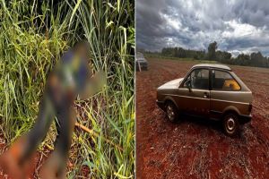 Imagem referente à notícia: Trabalhador é encontrado morto em área de reserva em Santa Helena