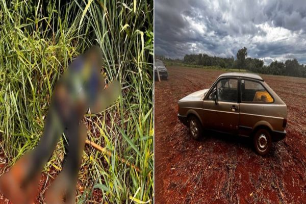 Imagem referente a notícia: Trabalhador é encontrado morto em área de reserva em Santa Helena