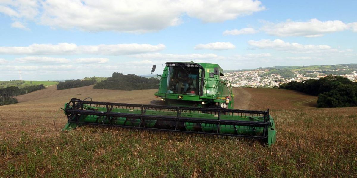 Paraná lidera produção e importação de feijão, e começa a expandir exportação do produto