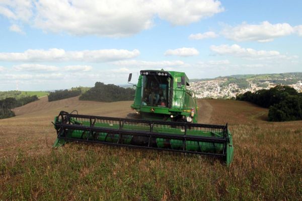 Paraná lidera produção e importação de feijão, e começa a expandir exportação do produto