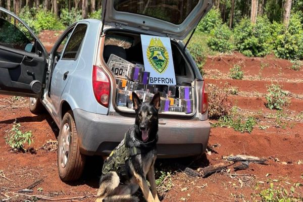 Imagem referente a notícia: BPFRON apreende veículo e carga de cigarros eletrônicos na PR-581 em Tupassi