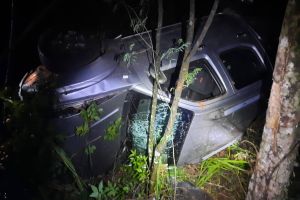 Imagem referente à notícia: Idoso morre após perder o controle do veículo e colidir em árvore na PR 585 em Vera Cruz do Oeste