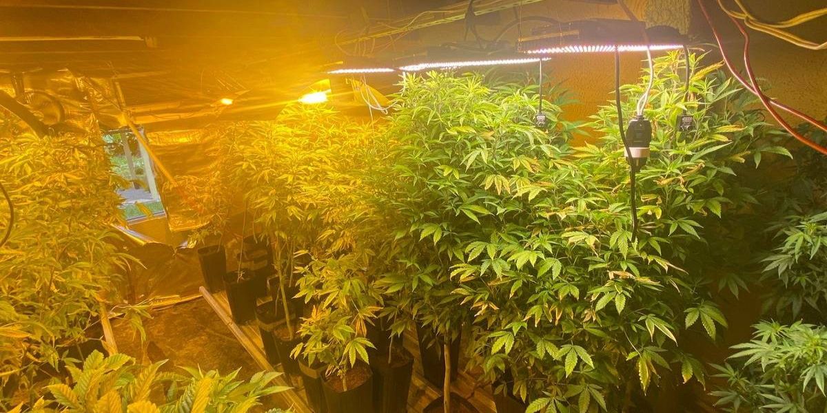 Polícia Militar desmantela laboratório de drogas em Balsa Nova