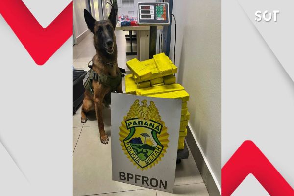 BPFRON intercepta ônibus e confisca mais de 42 Kg de droga em Toledo