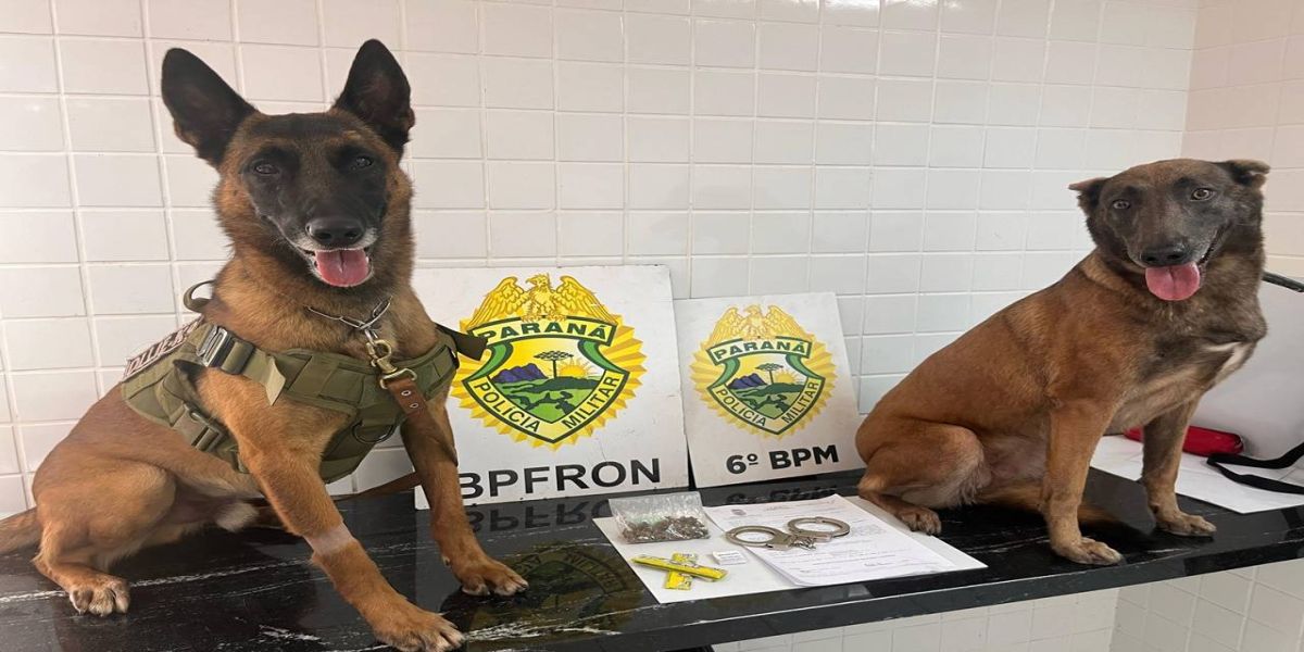 Homem é preso com maconha e mandado de prisão em aberto em Cascavel