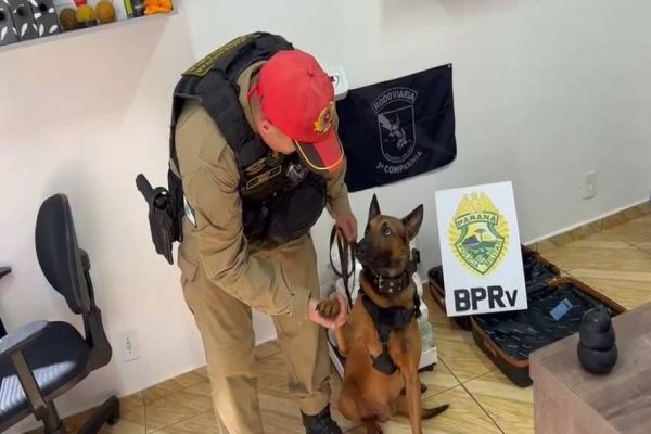 Operação Canis Fortis: Polícia Rodoviária apreende drogas e pneus contrabandeados em Cascavel