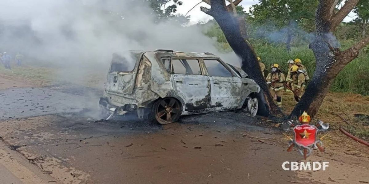 Carro em zigue-zague atropela pedestre, bate em arvore e motorista morre carbonizado