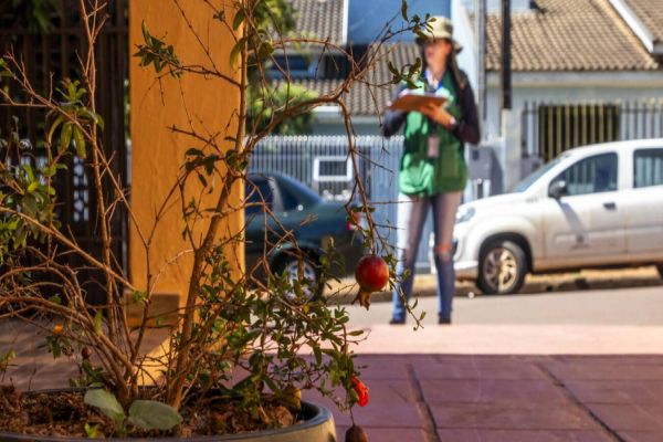 Endemias de Toledo pede apoio da população para combater o mosquito da dengue