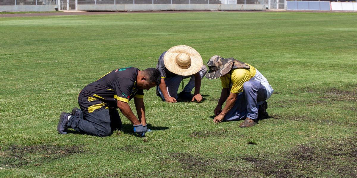 Gramado do Estádio Olímpico Regional passa por revitalização para a Série D