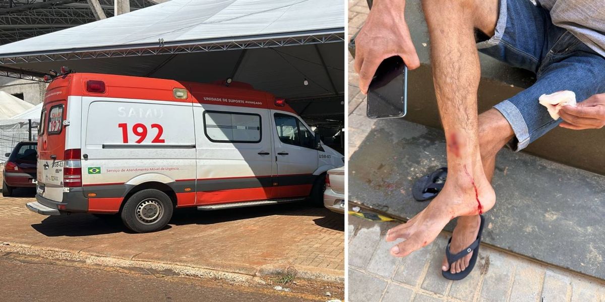 Ataque de Pitbull: Homem é ferido e comunidade cobra providências em Cascavel