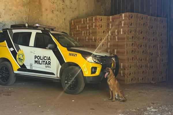 Ação da BPRv e cães resulta em apreensão milionária de cigarros contrabandeados em Jesuítas
