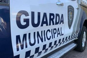 Homem ameaça funcionários com garrafa quebrada e acaba dormindo encostado em árvore em Cascavel