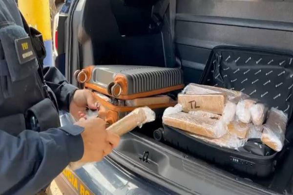 PRF apreende 30 quilos de maconha em ônibus intermunicipal na BR-277