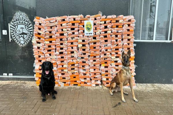 Cães farejadores auxiliam na apreensão de 368 kg de maconha em transportadora de Foz do Iguaçu