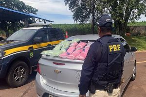 Imagem referente à notícia: Ultrapassagem proibida leva à maior apreensão de ecstasy em rodovias federais do Paraná