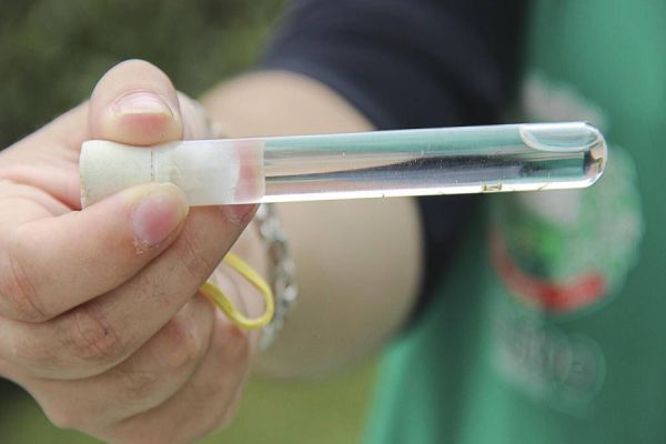 Com índice de infestação de 3,7%, Toledo apresenta dados do 2º LirAa do ano