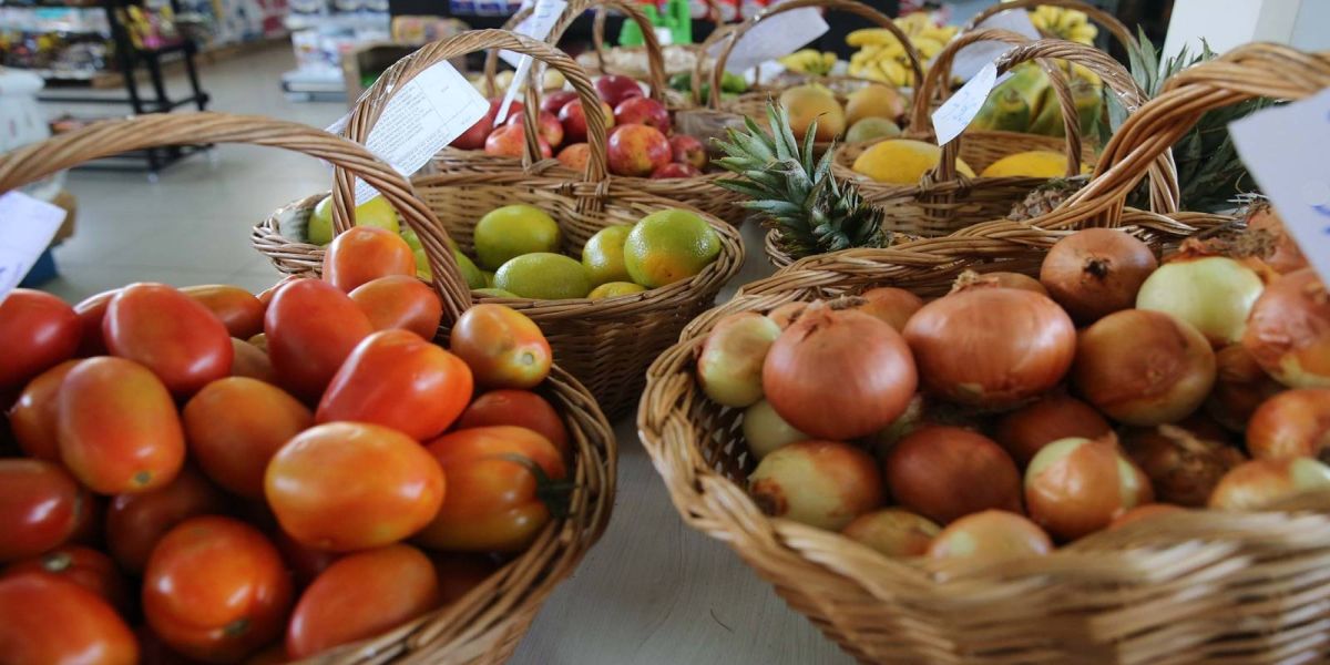 Governo divulga pontuação dos projetos apresentados para o Compra Direta Paraná 2025