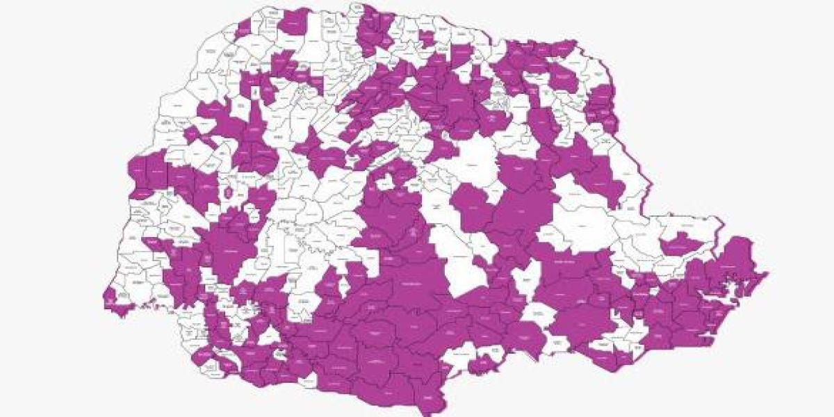 Paraná amplia rede de defesa dos direitos das mulheres e atinge 171 Procuradorias