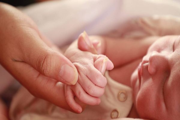 Cascavel lança Programa Pró-Bebê e fortalece o cuidado com recém-nascidos e suas famílias