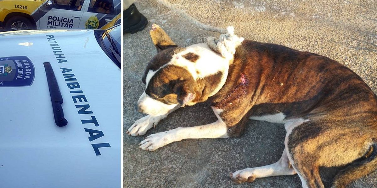 Cão é brutalmente agredido com golpes de facão no Bairro Morumbi e suspeito é detido