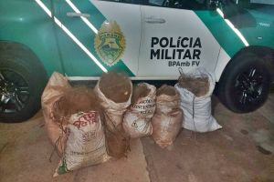Imagem referente à notícia: Polícia Ambiental apreende arma de fogo e 500 metros de redes de pesca predatória durante operação