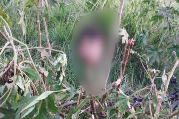 Crime brutal em Guaíra: Homem é encontrado decapitado e cabeça pendurada em árvore