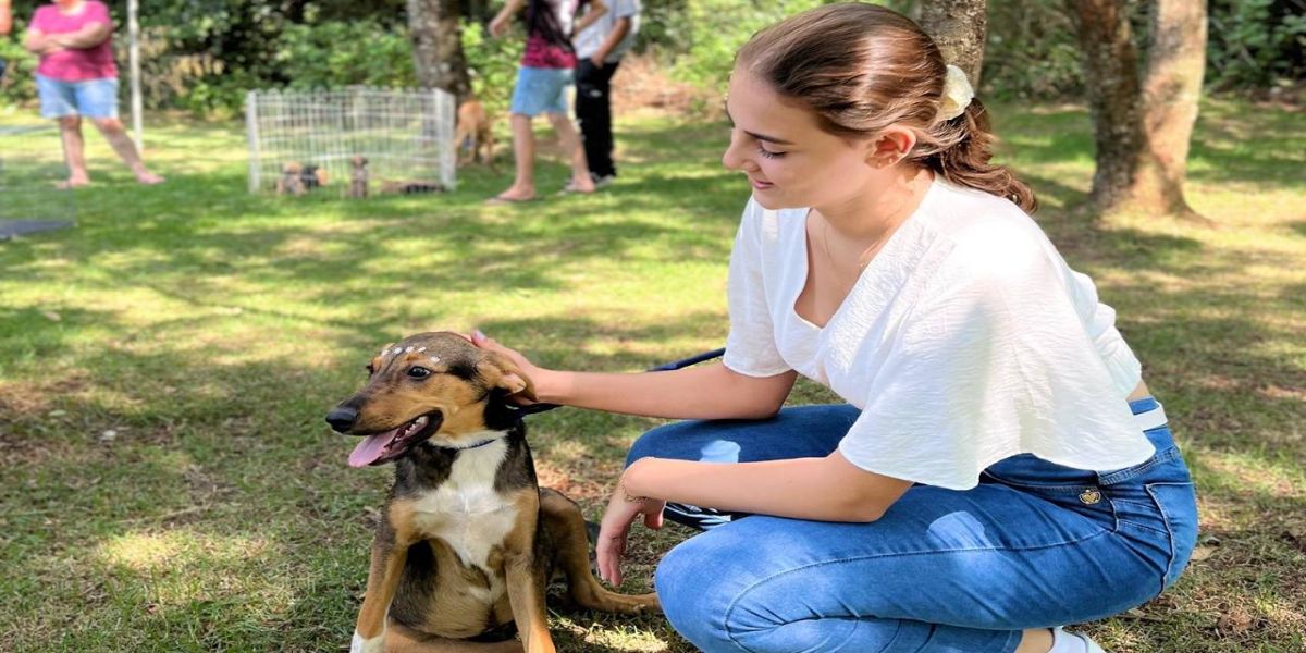 Feira de Adoção em Corbélia garante um novo lar para 12 cães do abrigo municipal