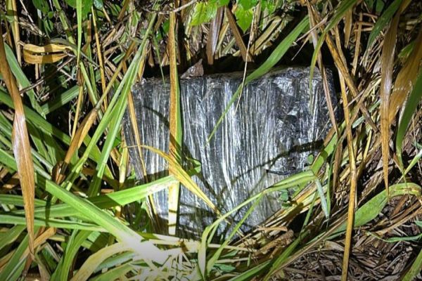 Rio Paraná: PF apreende meia tonelada de maconha após fuga de criminosos