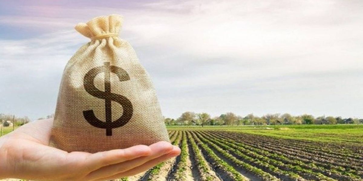 Burocracia e juros altos travam a expansão do agronegócio no Brasil