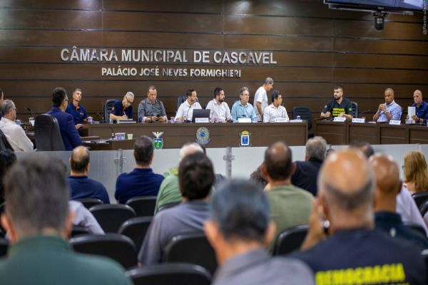 Energia elétrica: OAB Cascavel participa de audiência e reforça atuação em defesa do consumidor