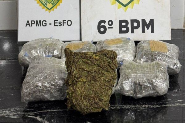 Ação policial apreende mais de dois quilos de skank em ônibus interestadual em Cascavel