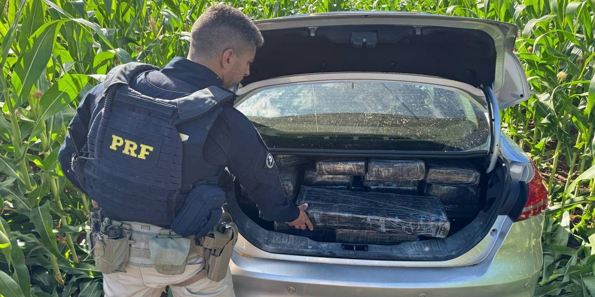 PRF apreende mais de meia tonelada de maconha após perseguição em Nova Santa Rosa
