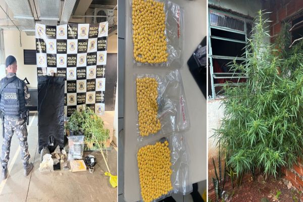 Imagem referente a notícia: Operação Conjunta da PM e PF resulta em apreensão de drogas sintéticas e maconha no oeste do Paraná