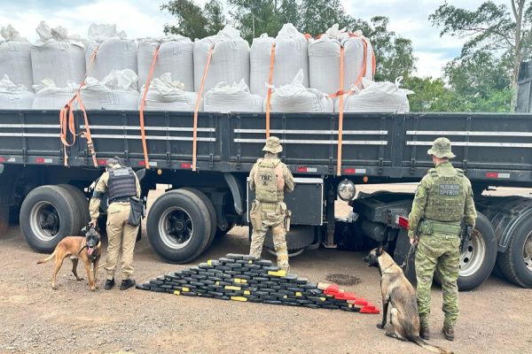 Operação conjunta apreende 113,6 kg de pasta base e cocaína na BR-369 em Corbélia